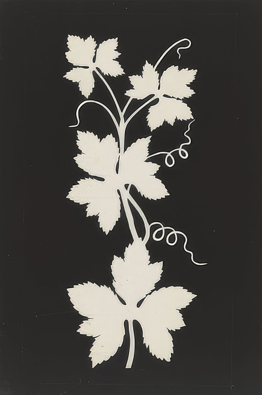 Feuillage de vigne - Philipp Otto Runge