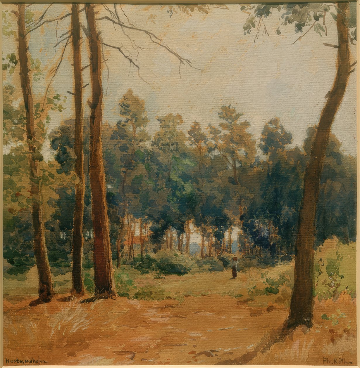Paysage forestier près de Hartmannshofen - Philipp Röth