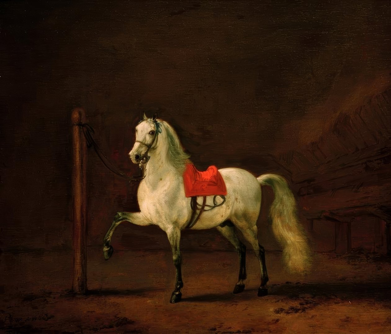 Un cheval gris dans l