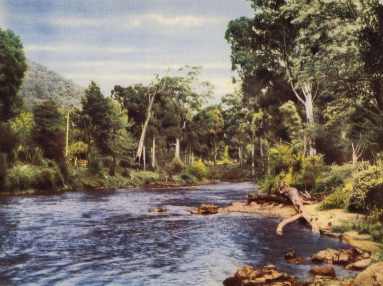 Rivière Yarra - Photographer Australian