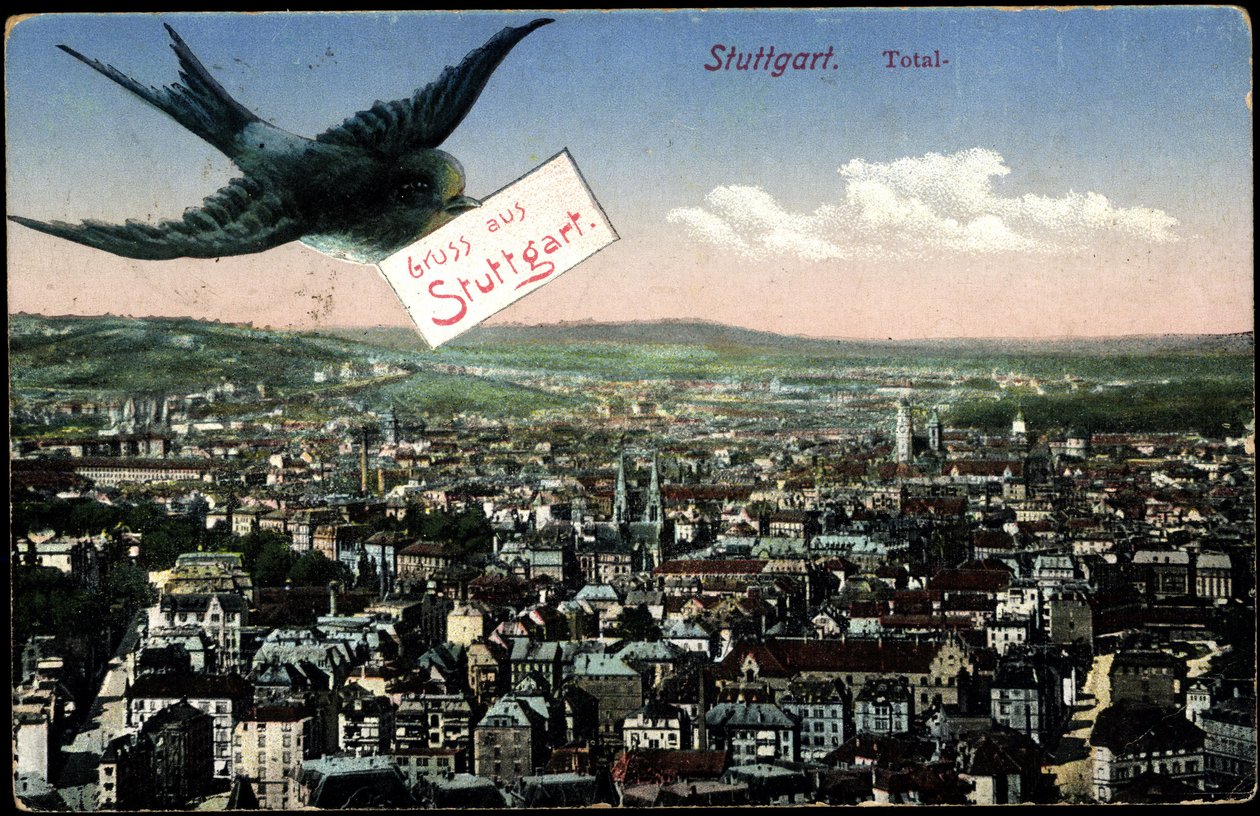 Stuttgart, vue de la ville avec hirondelle - Photographer German