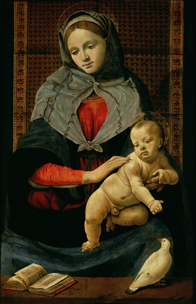 Madone et Enfant avec une colombe - Piero di Cosimo