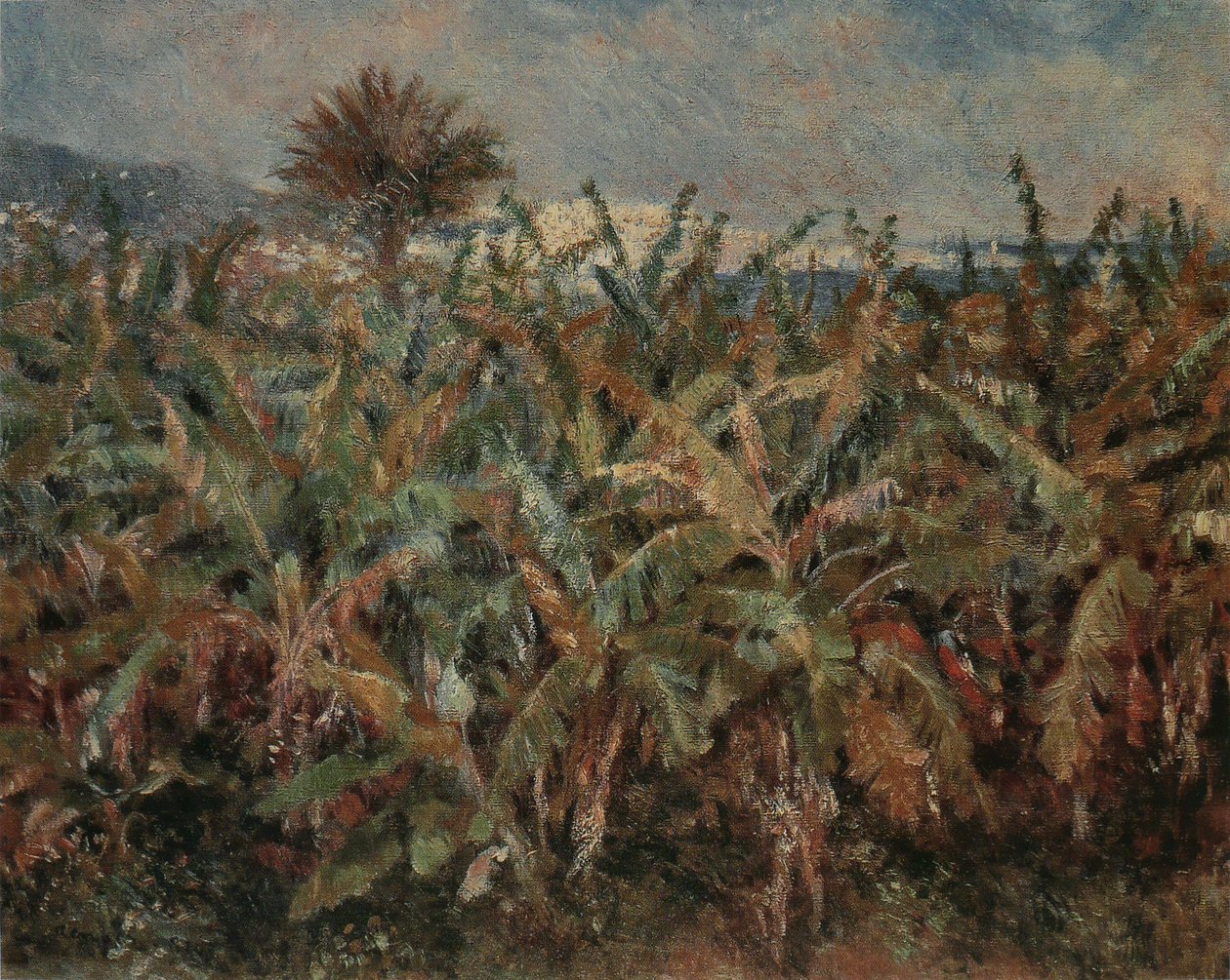 Champ de bananiers - Pierre Auguste Renoir
