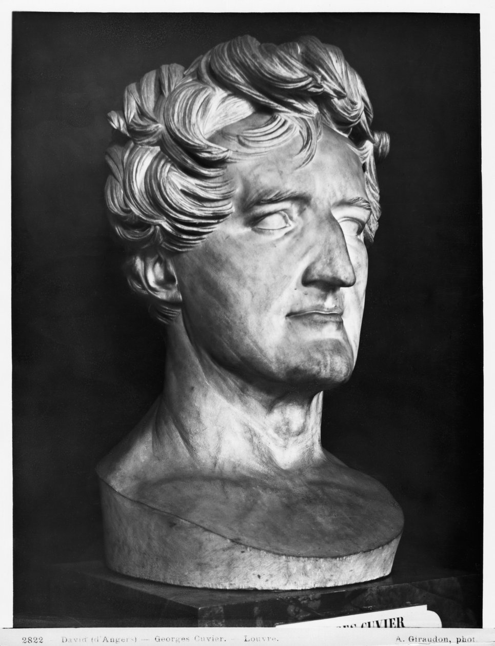 Georges Cuvier, 1833 (marbre) - Pierre Jean David d