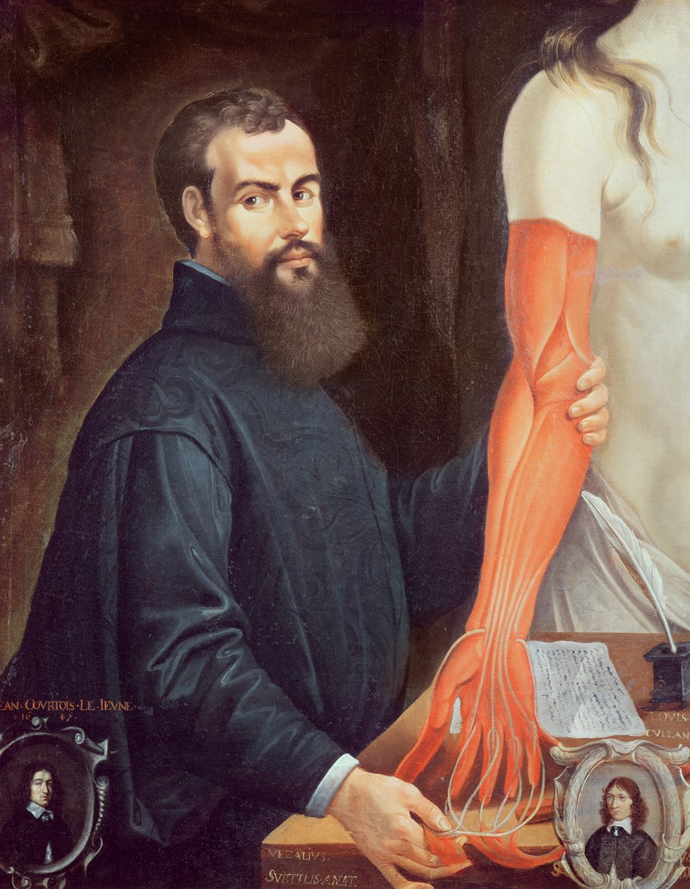 Andreas Vesalius (1514-64) - Pierre Poncet