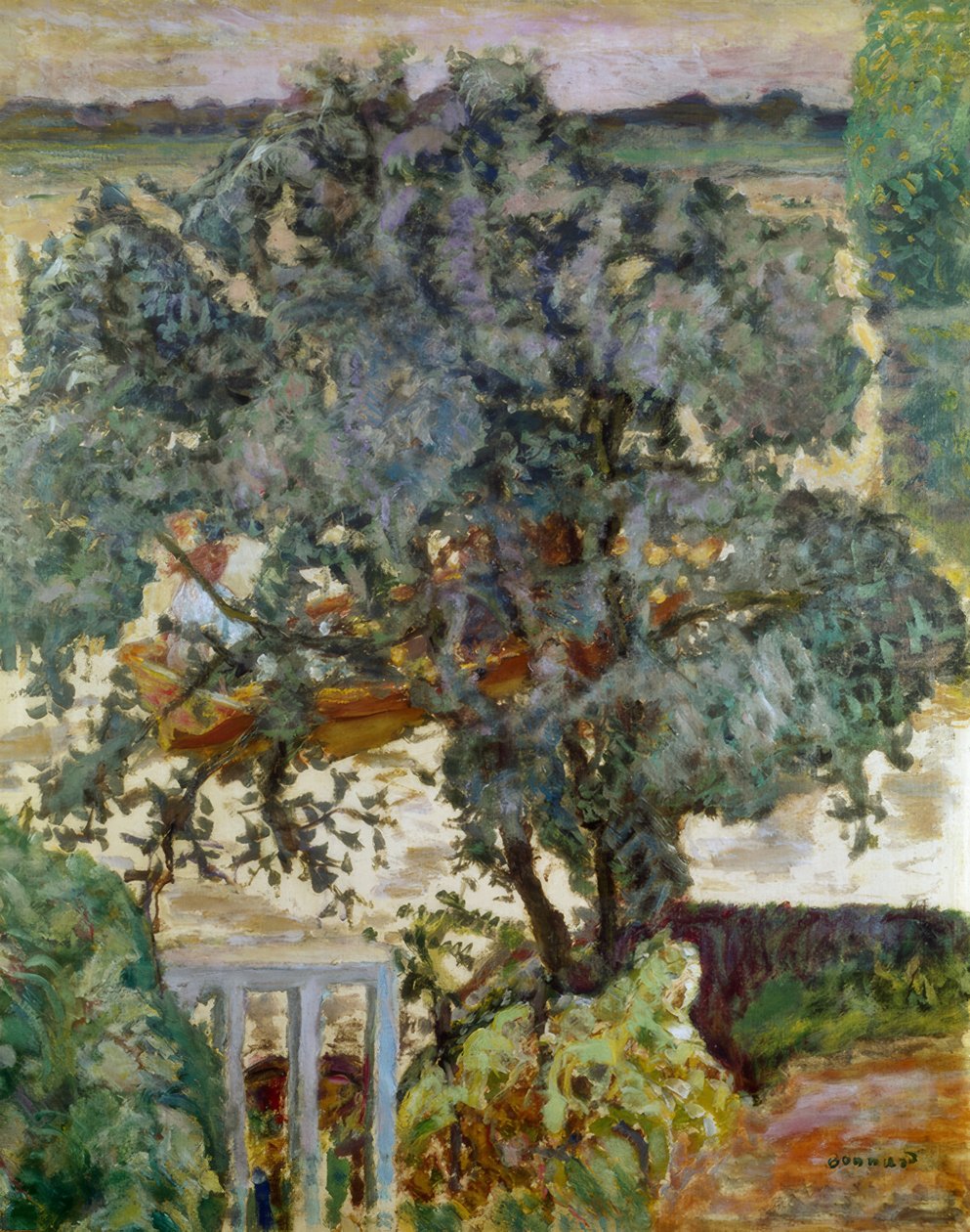 L’arbre près de la rivière - Pierre Bonnard