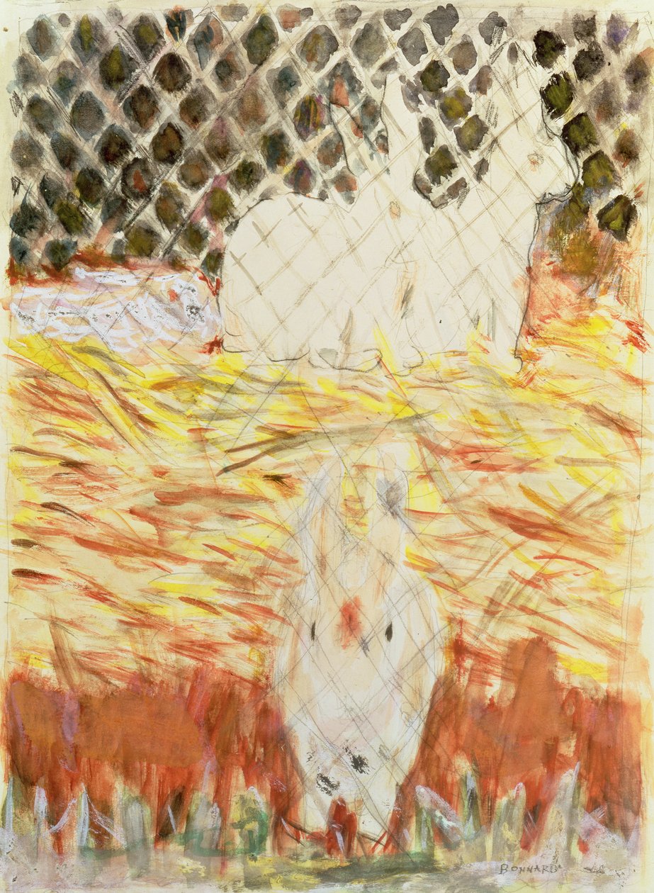 Lapins, vers 1930 - Pierre Bonnard
