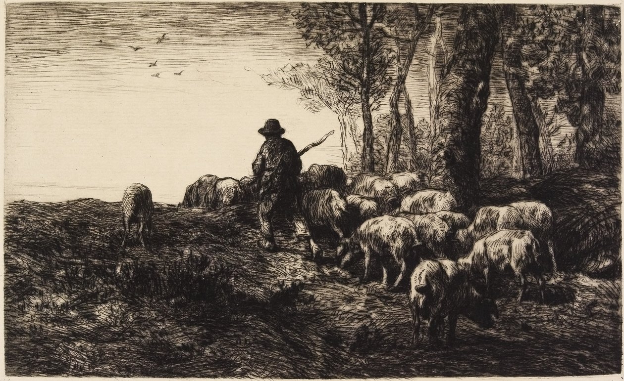 Silence et nuit des bois - Pierre Edmond Alexandre Hedouin