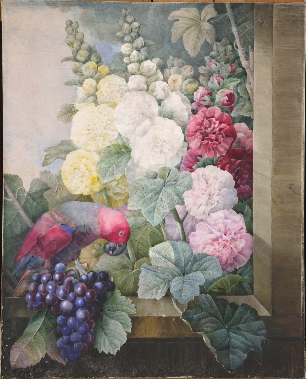 Rose trémières, raisins et un perroquet, 1836 - Pierre Joseph Redouté