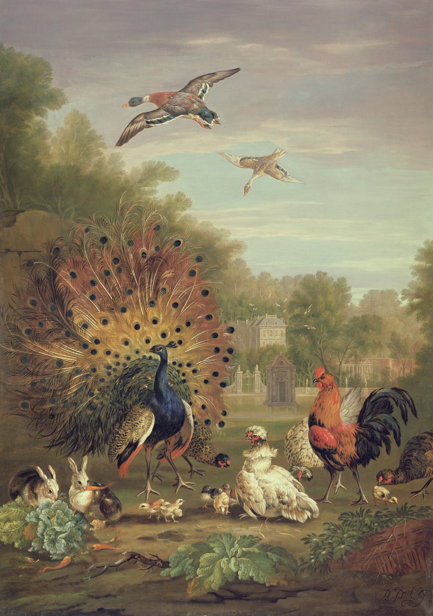 Paon et lapins dans un paysage - Pieter Casteels