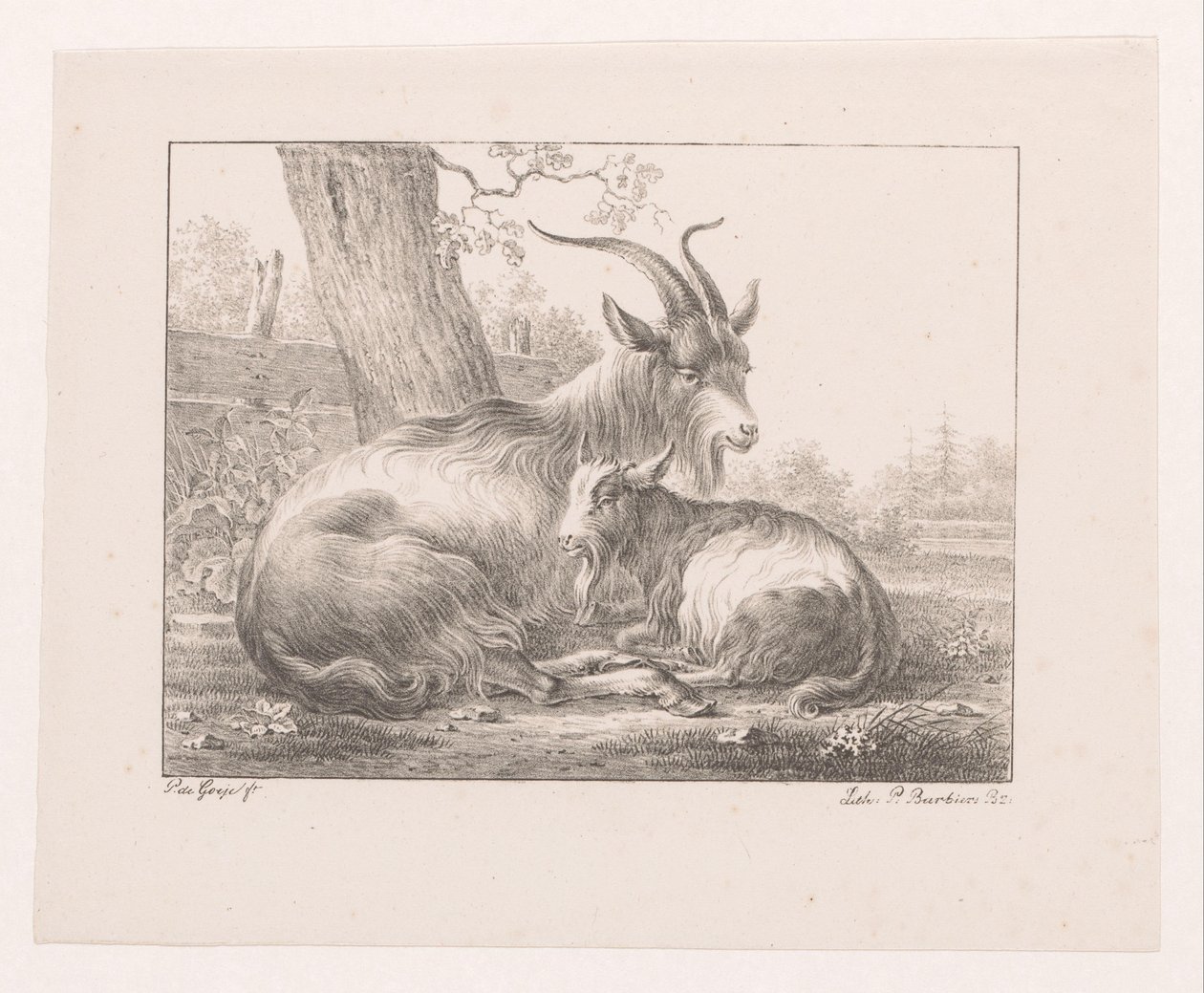 Bouquetin et chèvre dans un paysage - Pieter Bartholomeusz. Barbiers