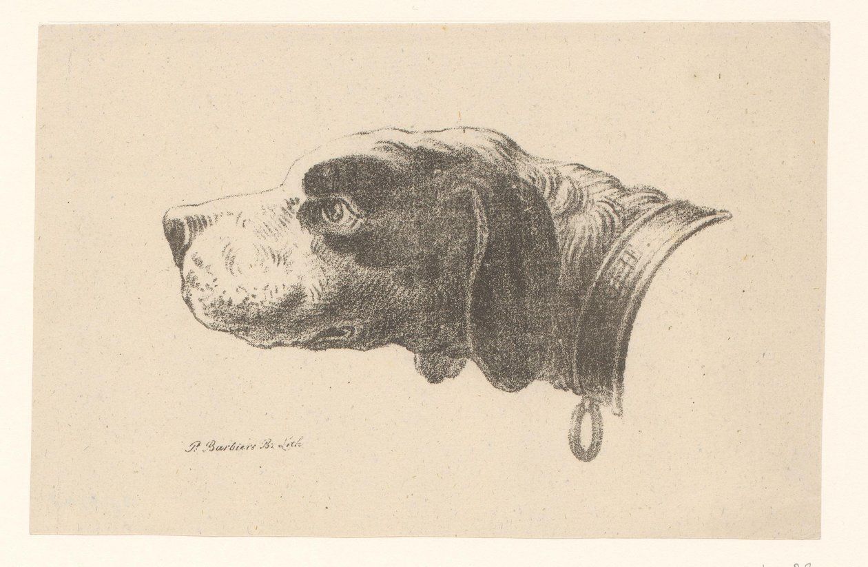 Tête de chien avec collier - Pieter Bartholomeusz. Barbiers