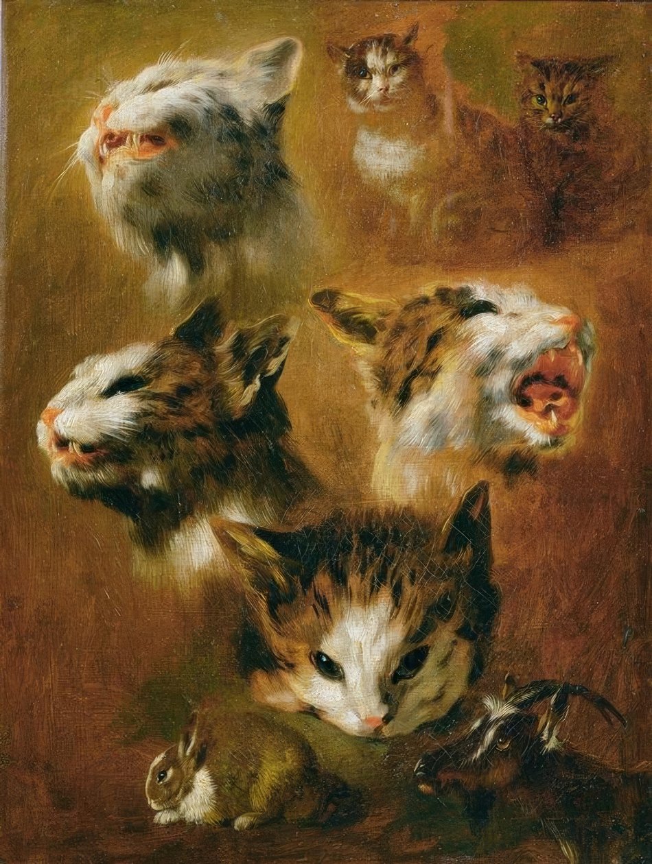 Études d
