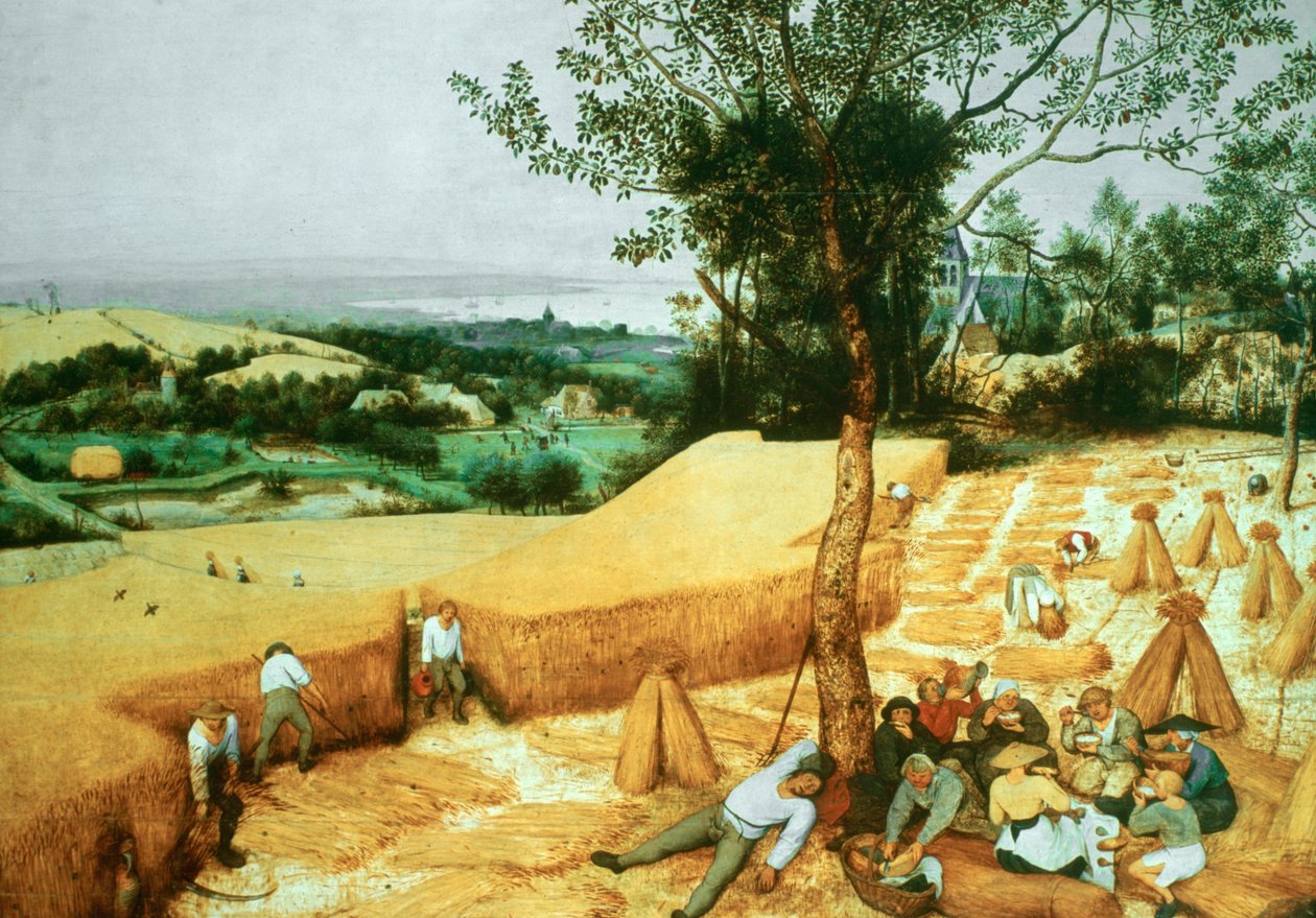 Les Moissonneurs, 1565 - Pieter Bruegel the Elder