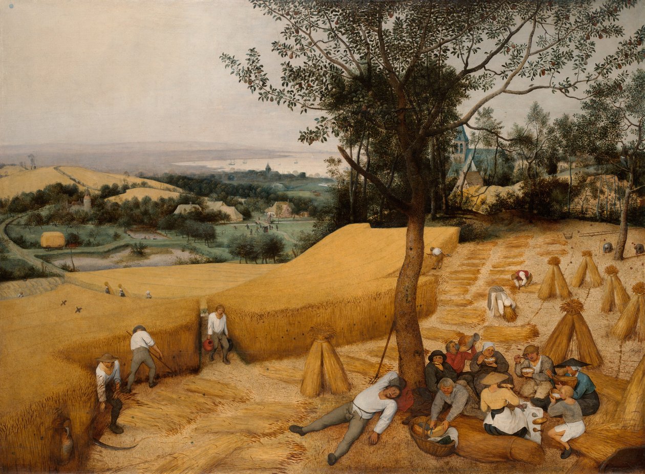 Les moissonneurs - Pieter Bruegel the Elder