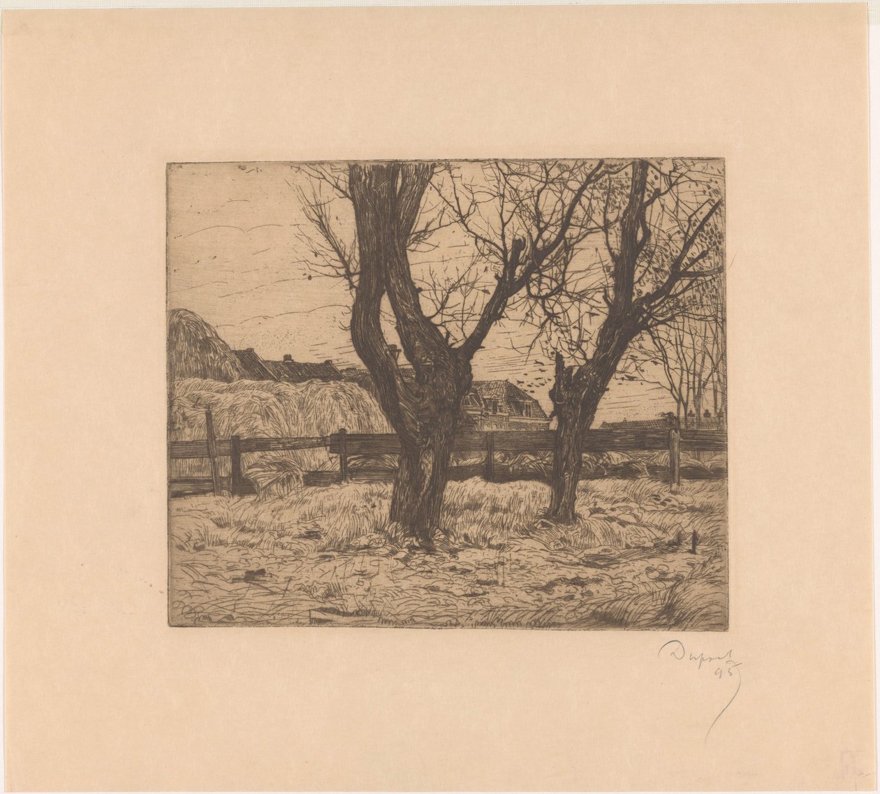 Saules têtards dans un pré - Pieter Dupont (signed by artist)
