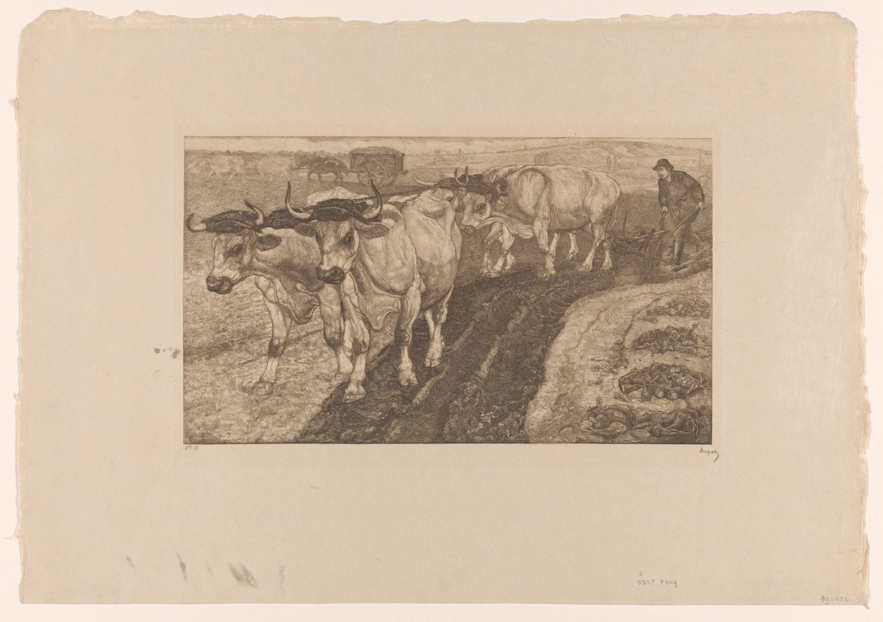 Quatre bœufs labourant - Pieter Dupont (signed by artist)