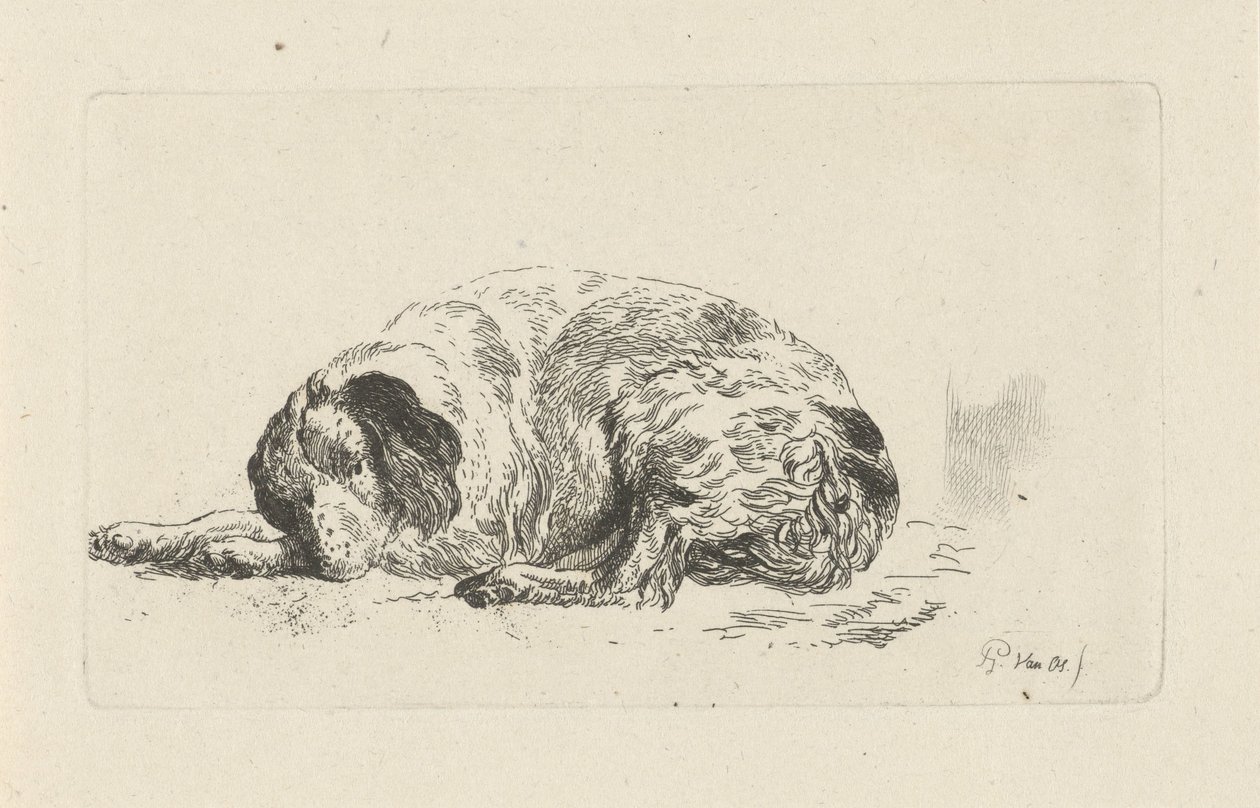 Chien couché - Pieter Gerardus van Os