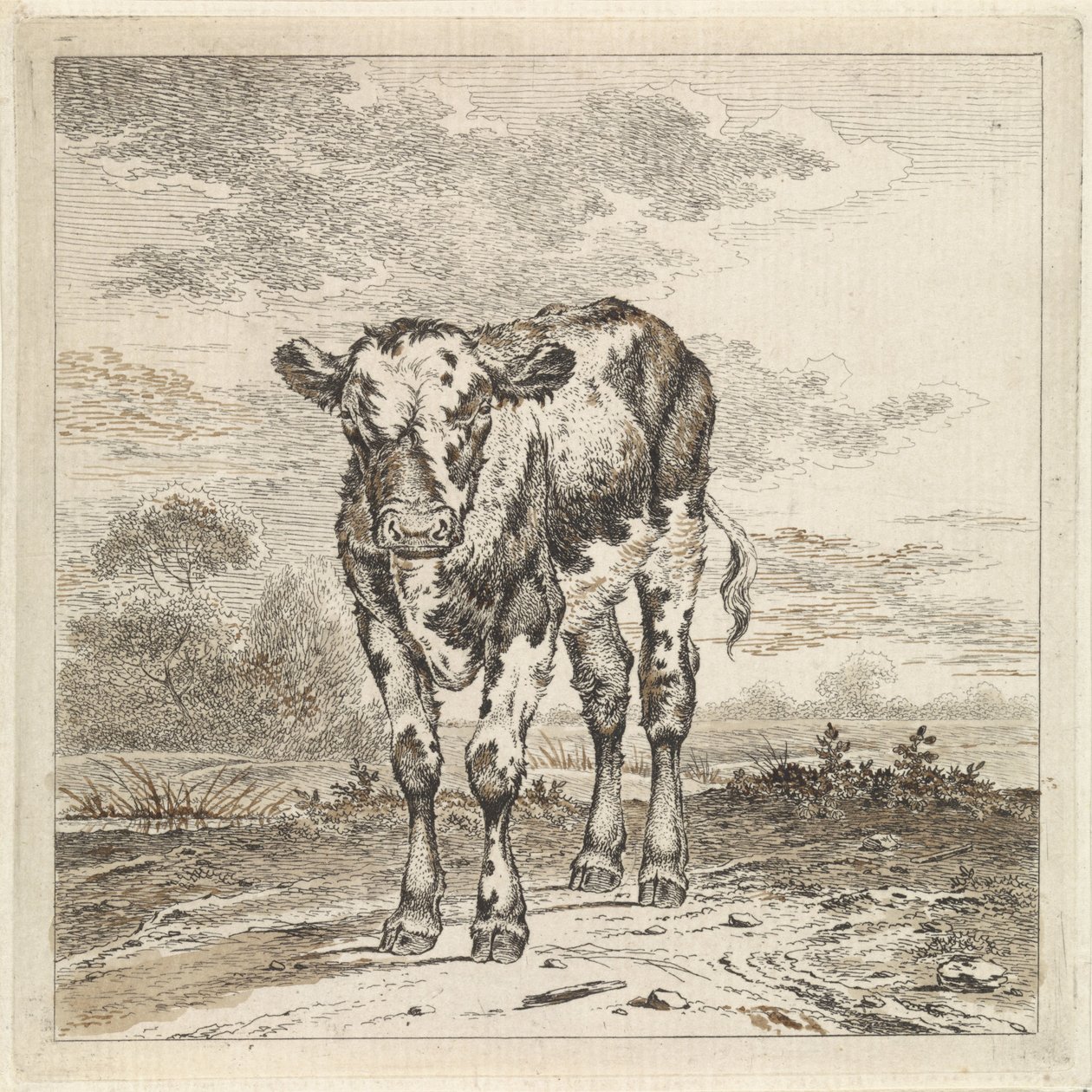 Paysage avec veau - Pieter Janson