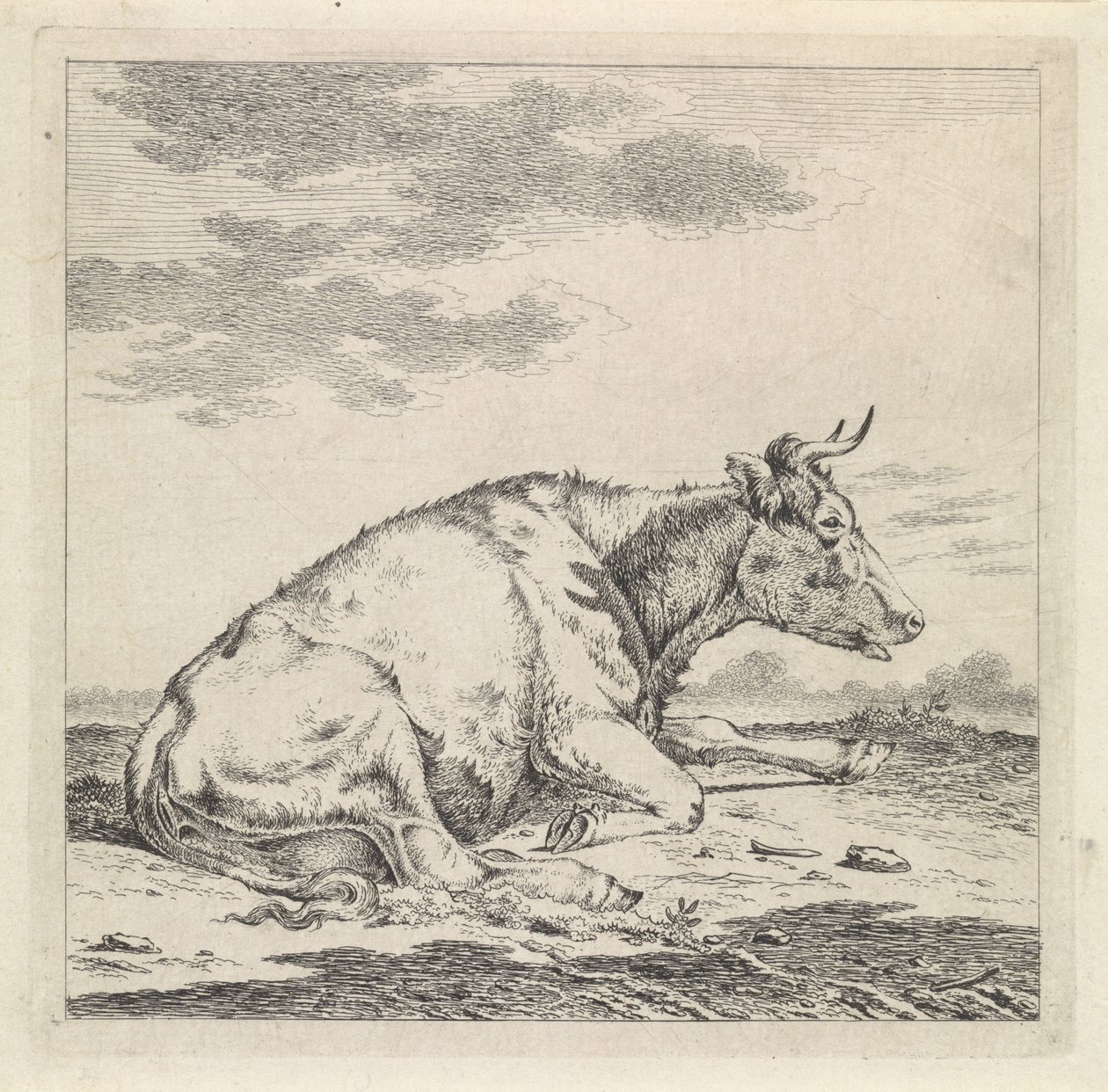 Vache couchée, vers la droite - Pieter Janson