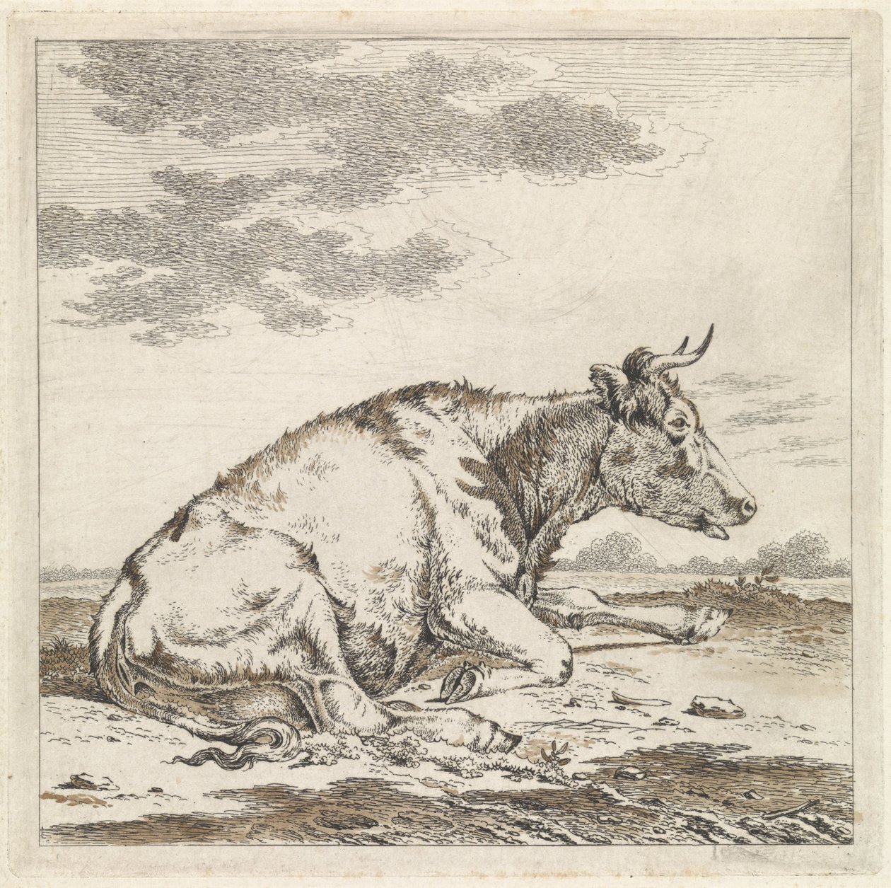 Vache couchée, vers la droite - Pieter Janson