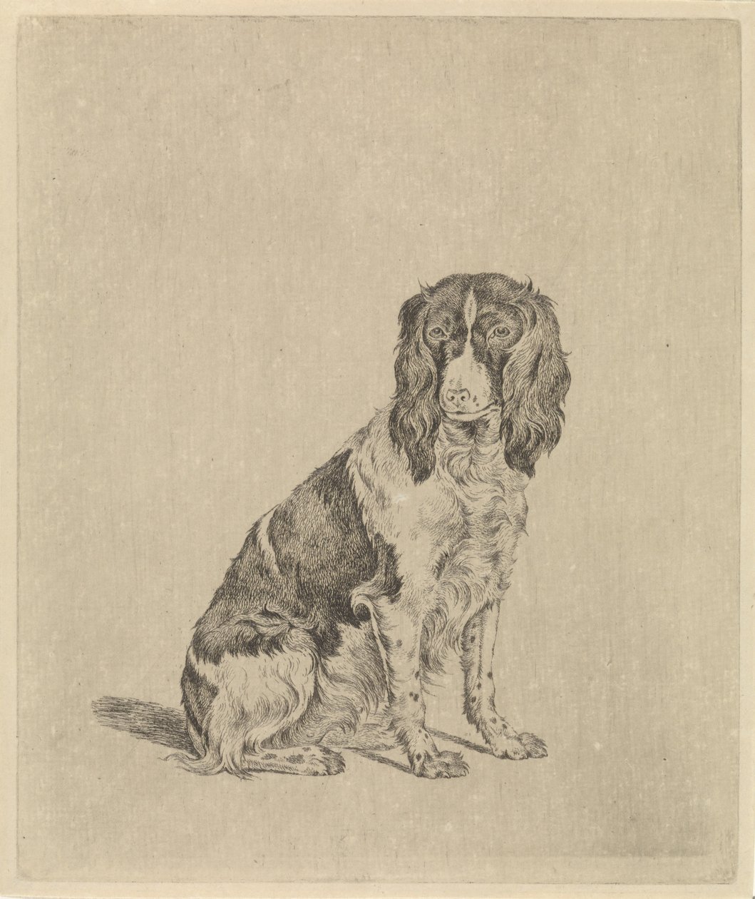 Chien de chasse assis - Pieter Janson