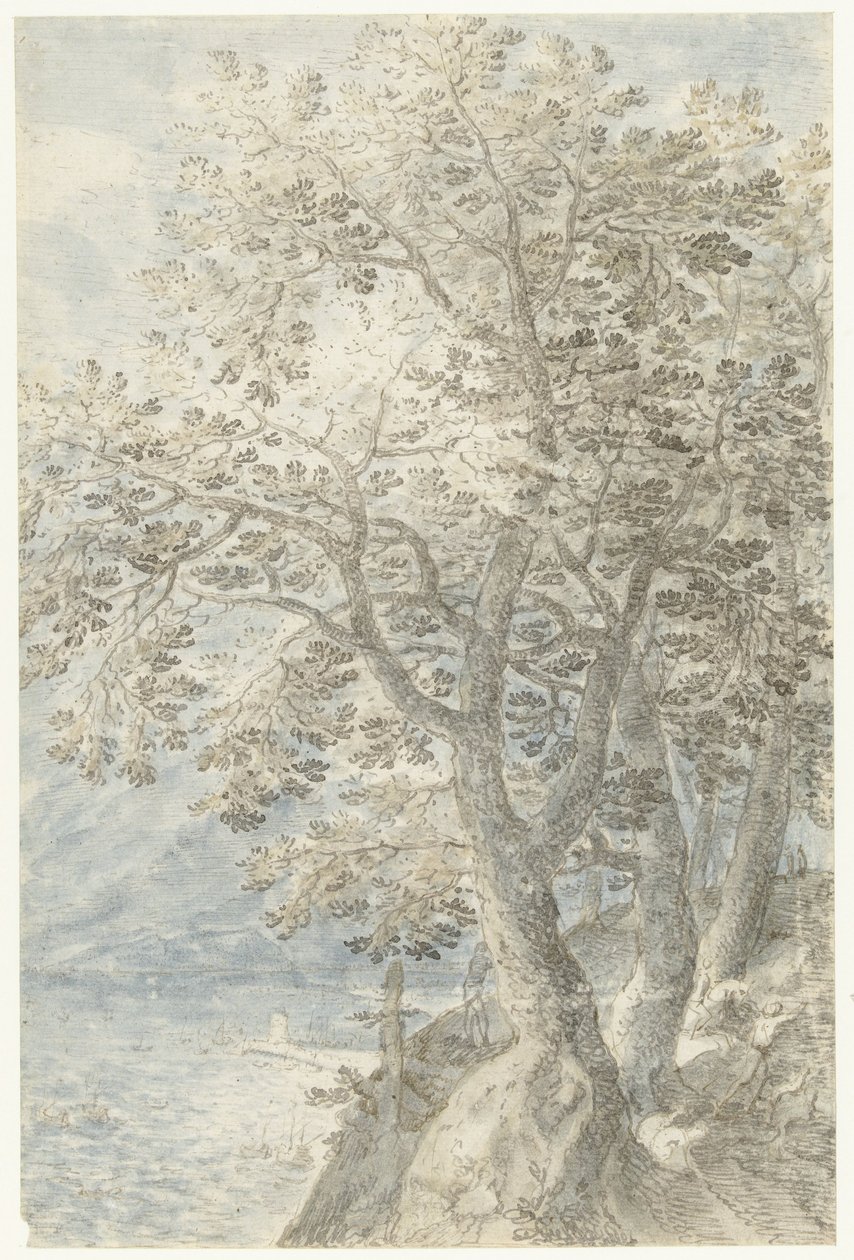 Arbres près d