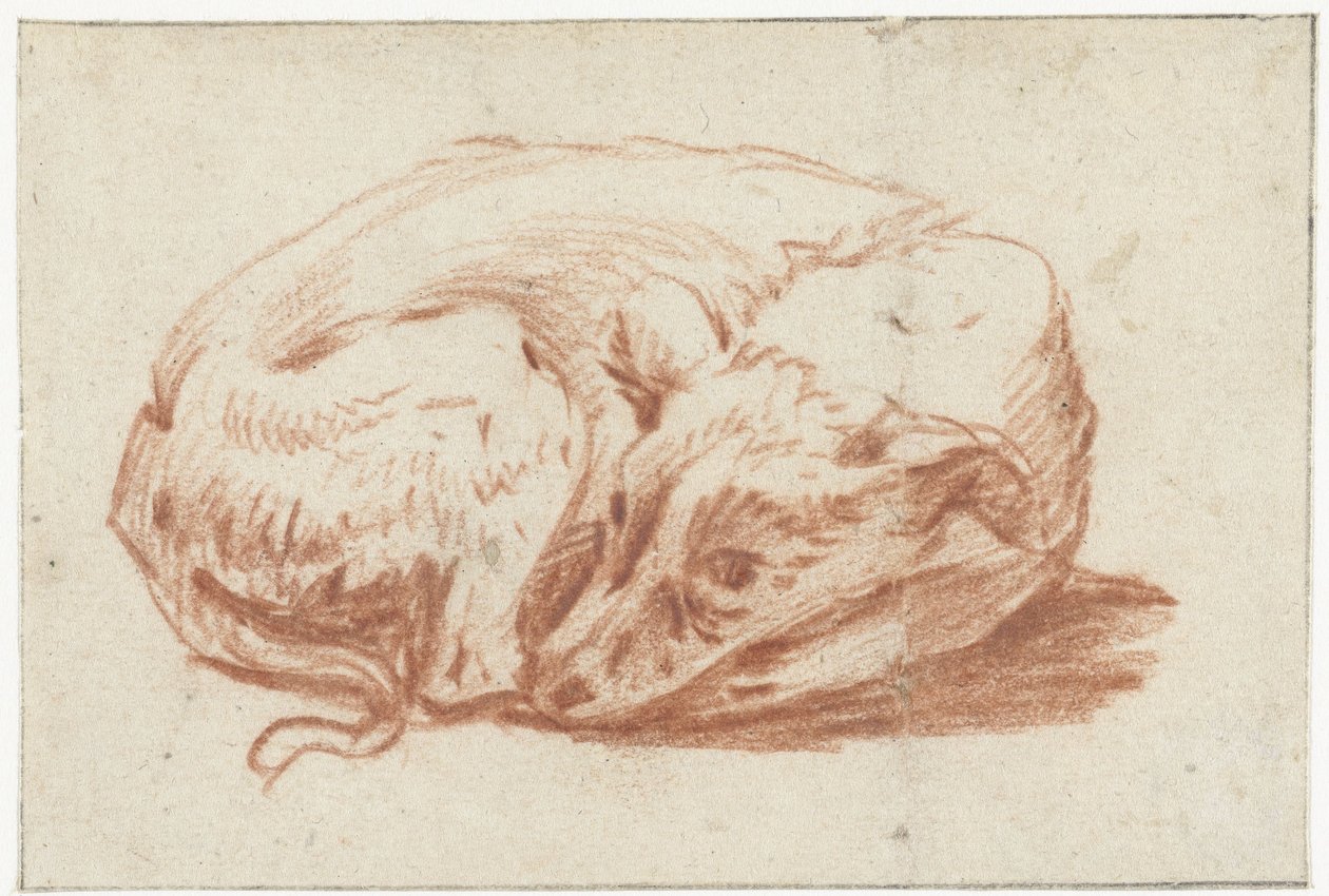 Chien couché - Pieter van Bloemen