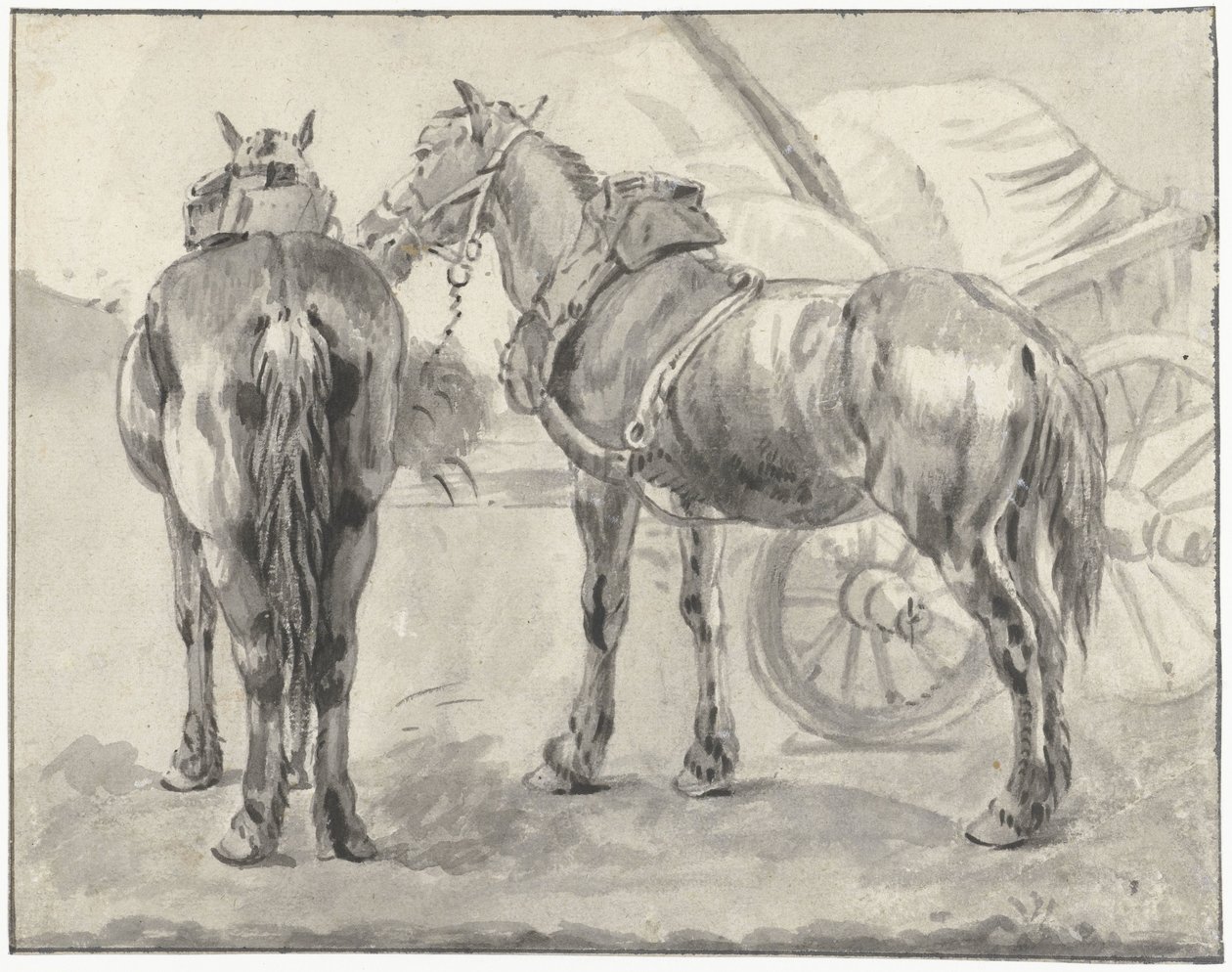 Deux chevaux de trait près d