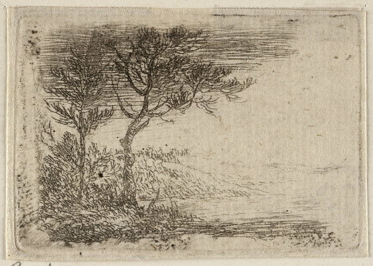 French : Paysage avec deux arbres - Pieter van Laer