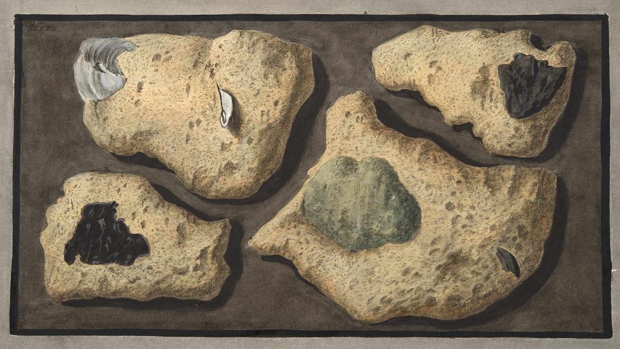 Spécimens de Tufas de la carrière près de la Grotte de Pausilipo, Planche XXXXII, de 