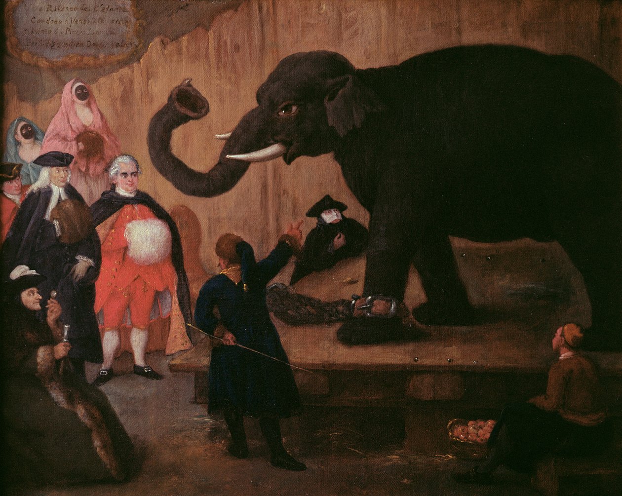 Un éléphant montré à Venise - Pietro Longhi