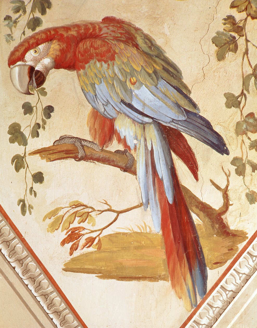 Un perroquet (murale) - Pietro Rotati
