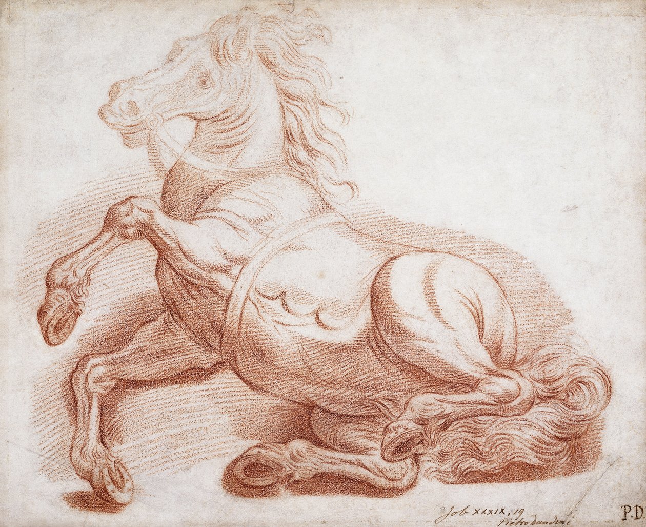 Un cheval tombé - Pietro Dandini