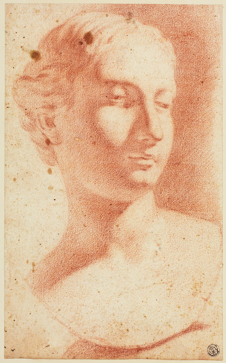 Buste féminin - Pietro Dandini