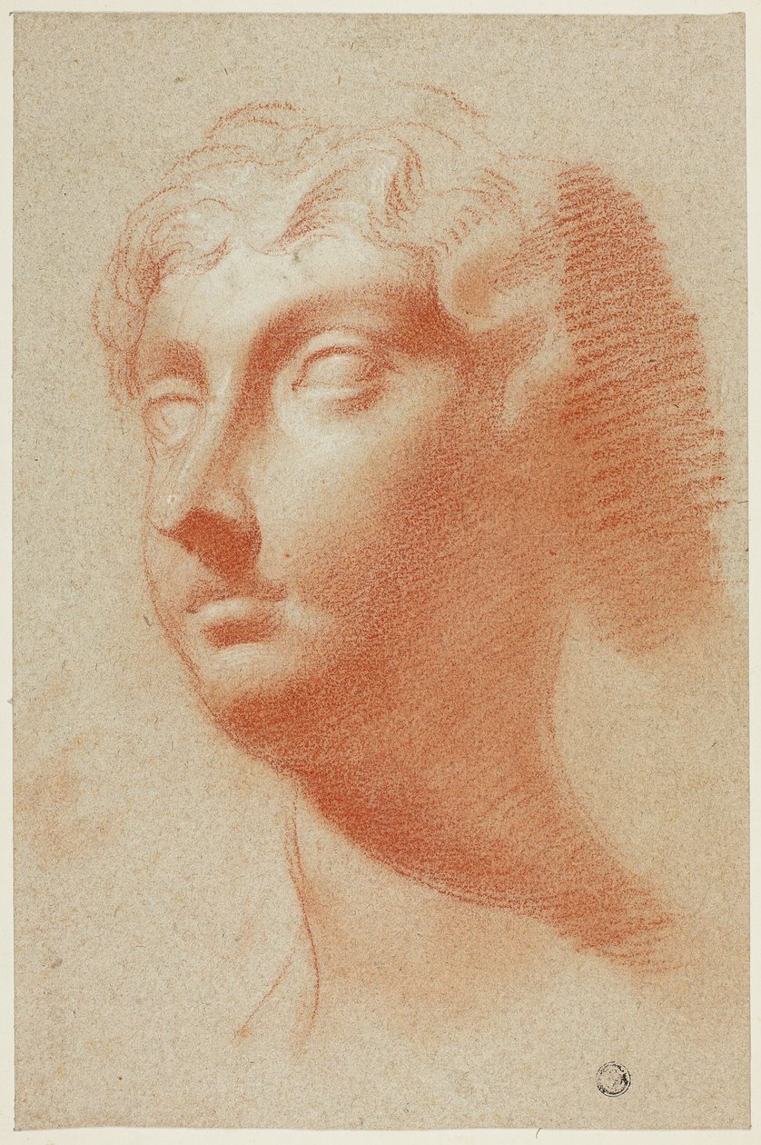 Tête de femme - Pietro Dandini