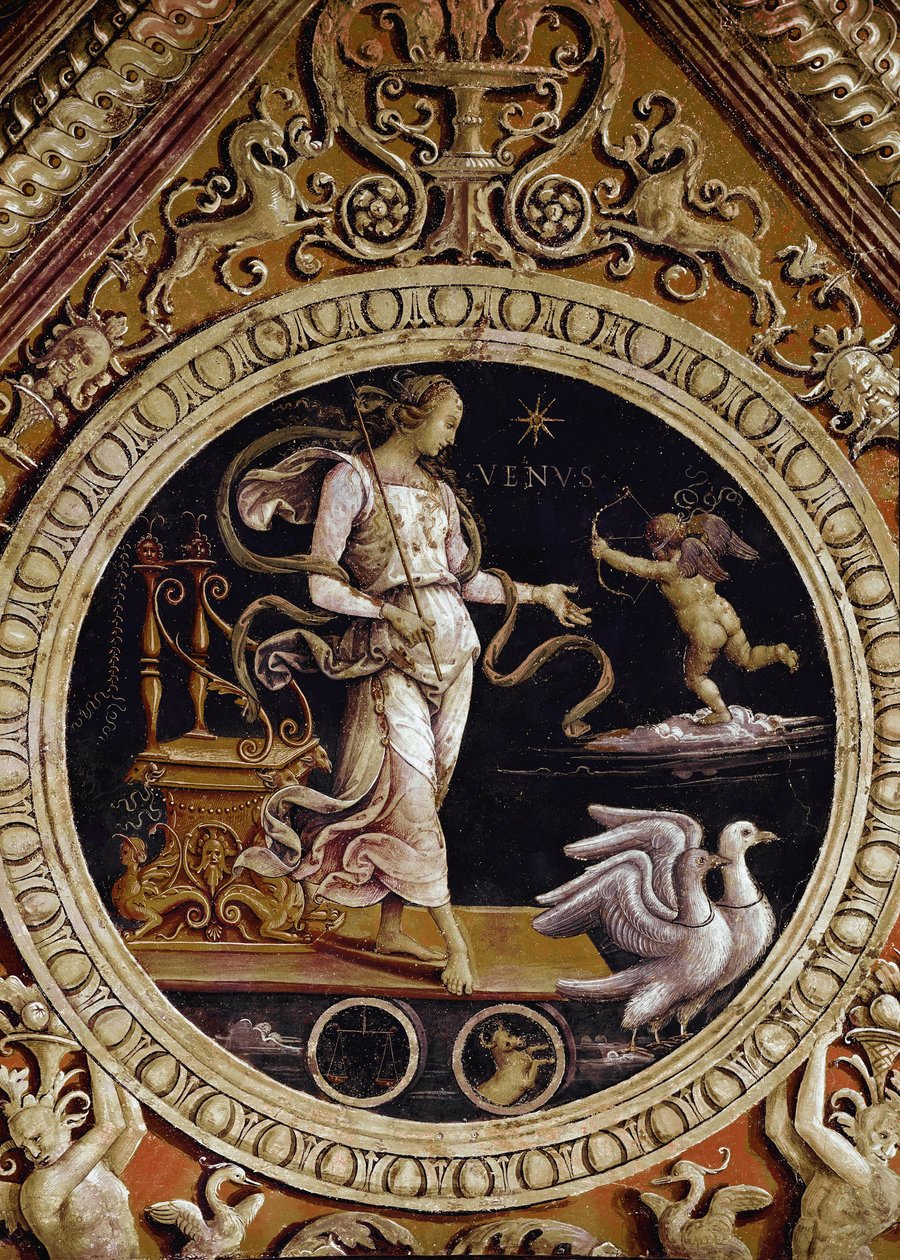 Représentation allégorique de Vénus - Pietro Perugino