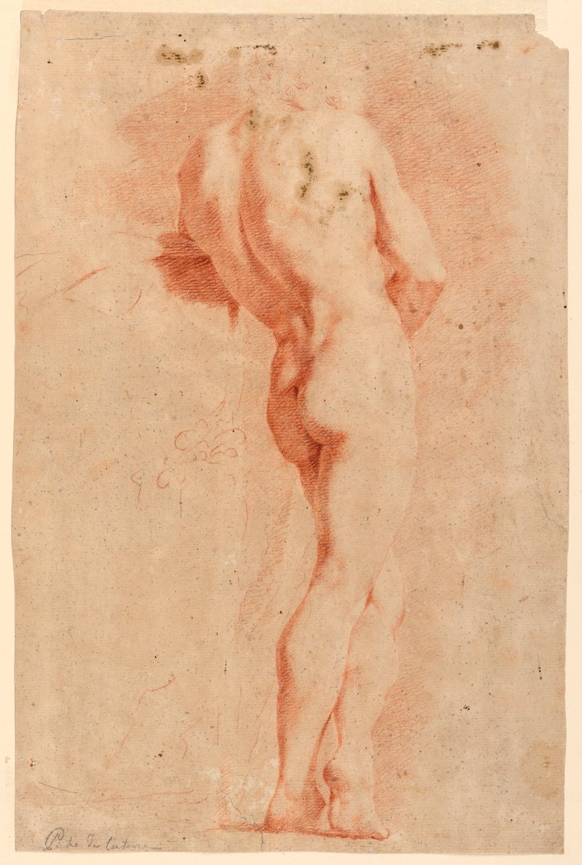 Étude figurative - Pietro da Cortona