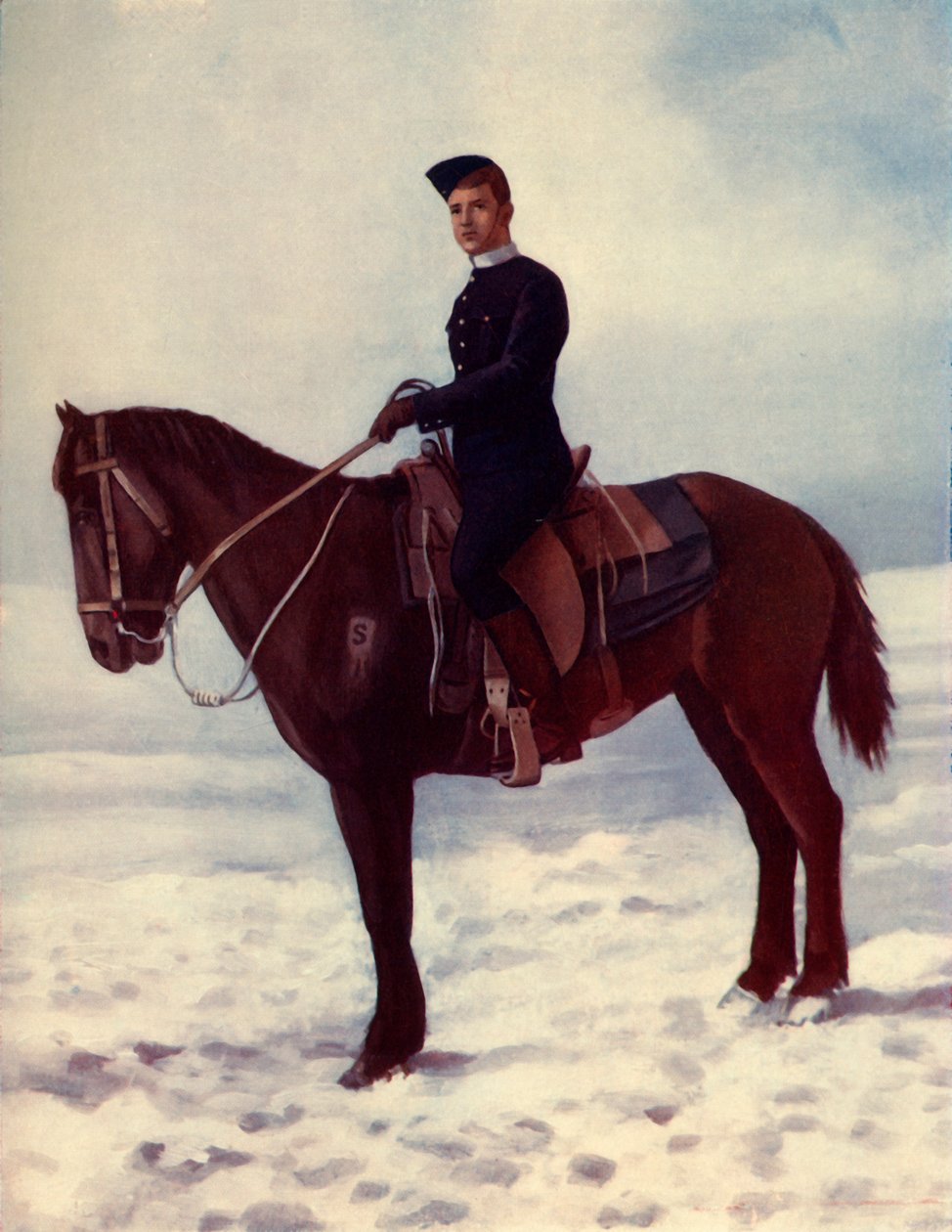 Le cheval de Strathcona - Pittaway