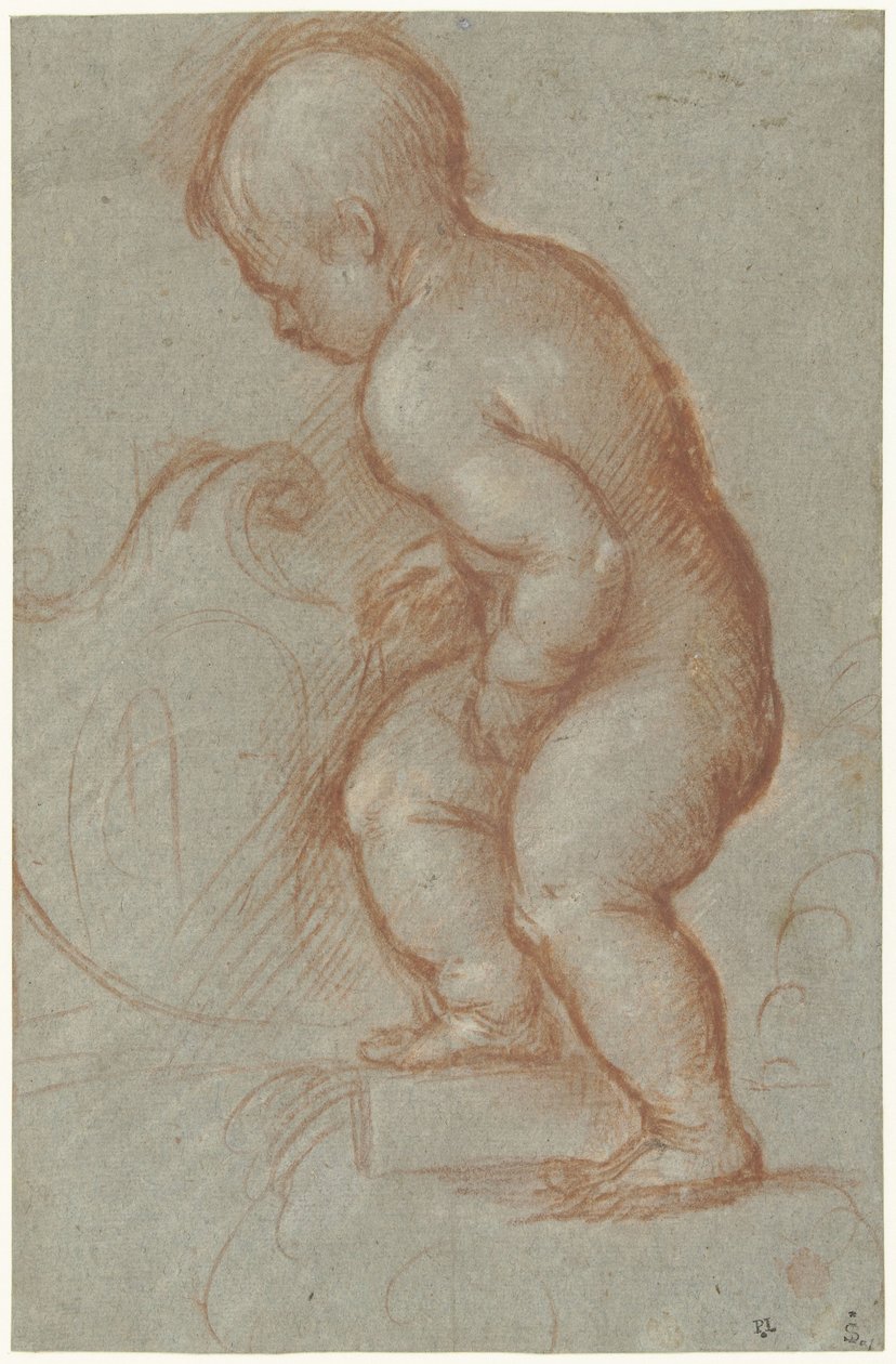 Putto avec un blason - Pordenone (attributed to)
