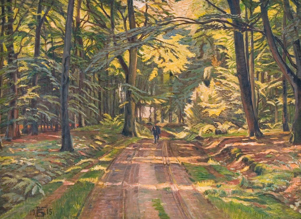 Chemin forestier près de Dyrnæs - Poul S. Christiansen