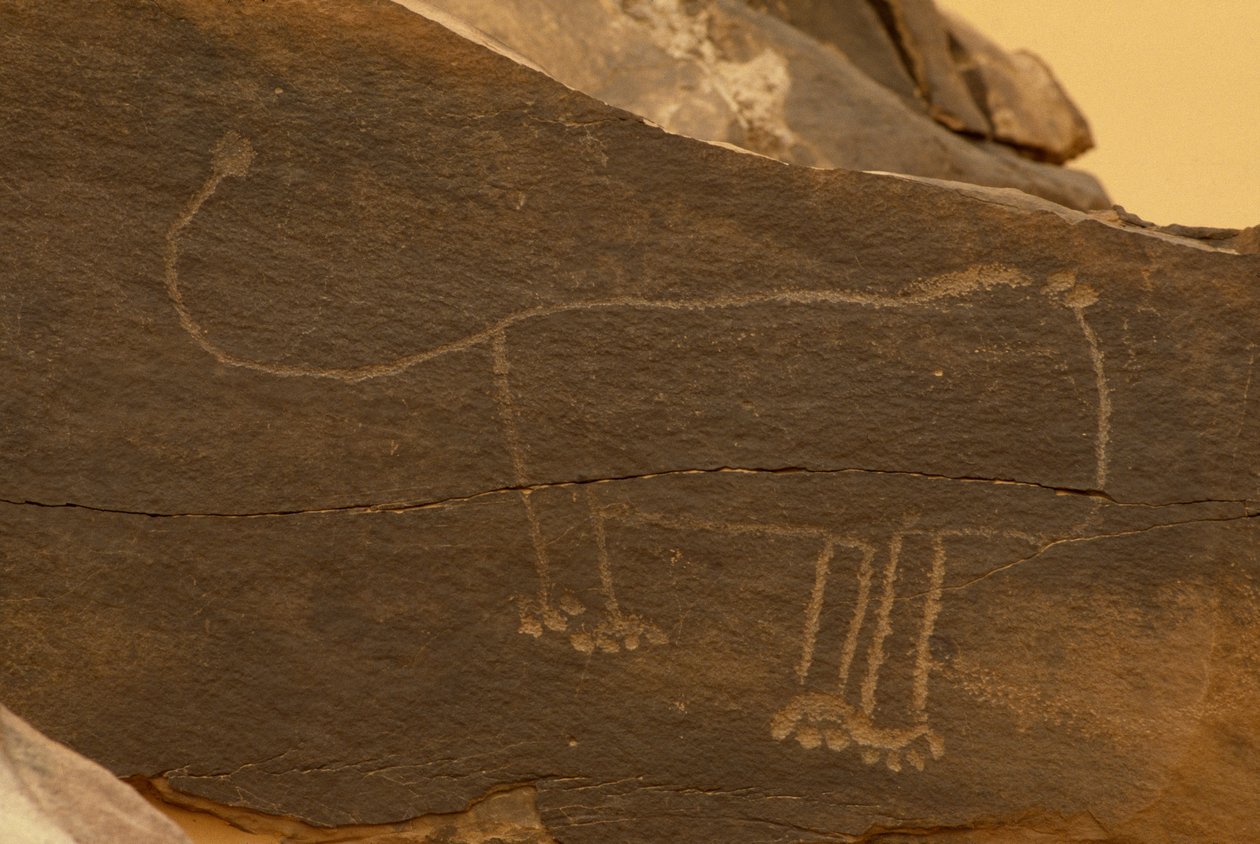 Animal (gravure rupestre) - Prehistoric