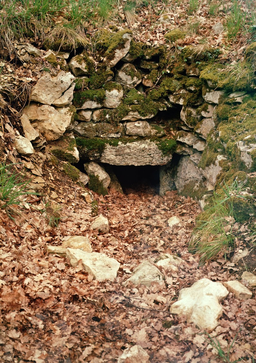 Entrée couverte d