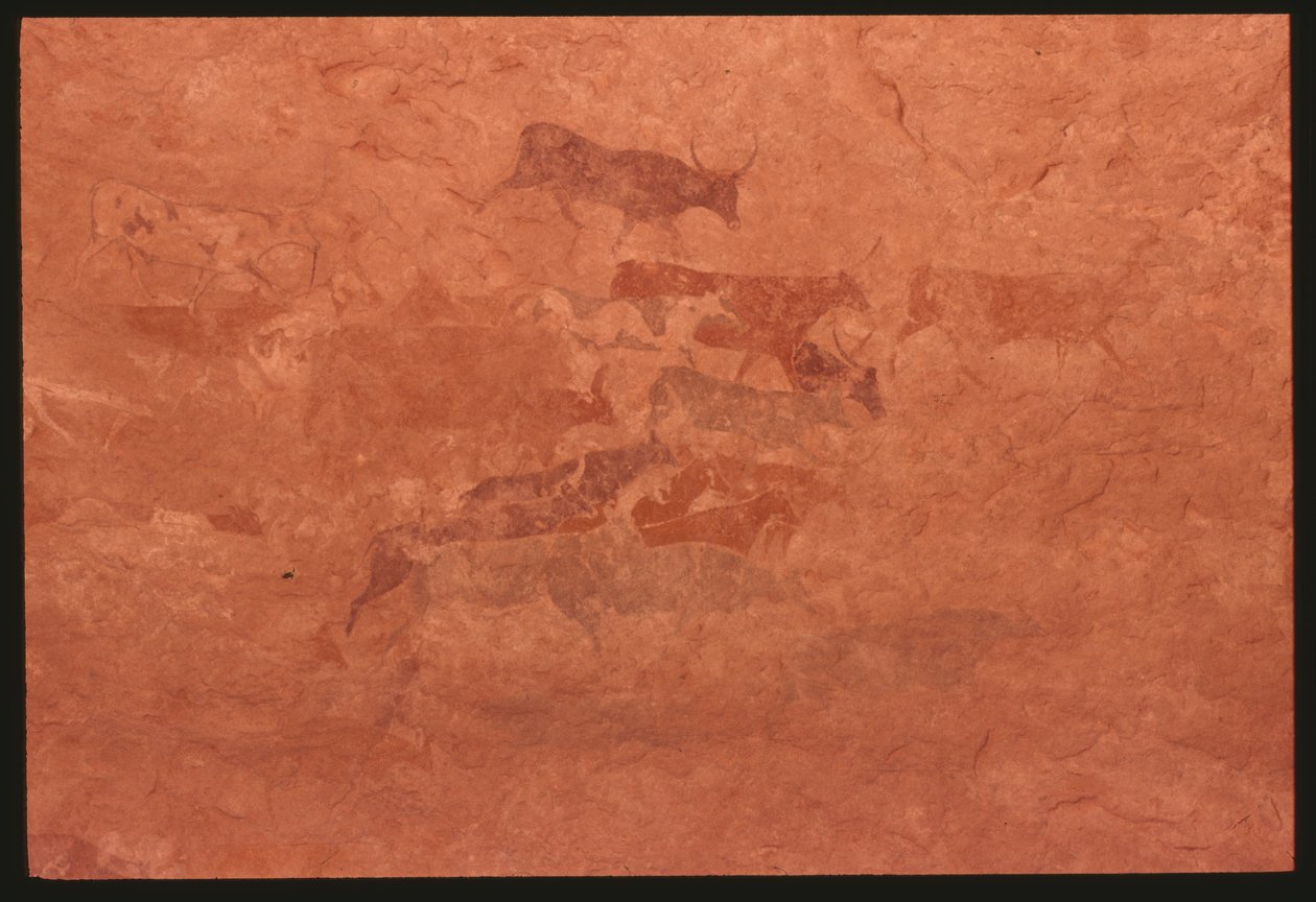 Vaches (peinture rupestre) - Prehistoric