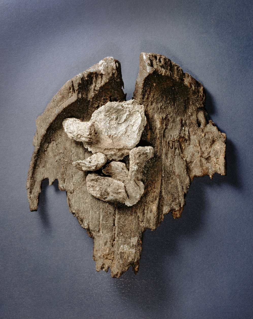 Fragment d