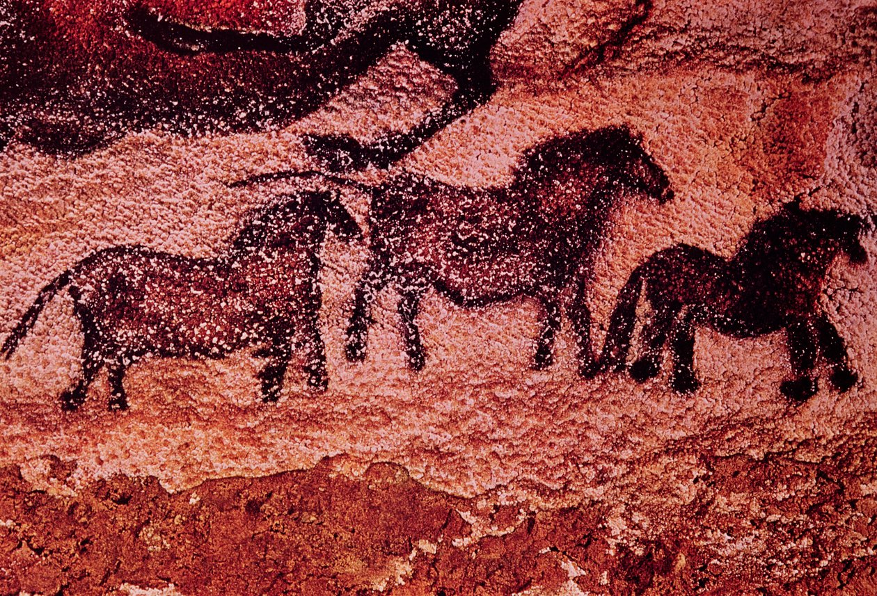Peinture rupestre de tarpans (poneys), vers 17000 av. J.-C. - Prehistoric