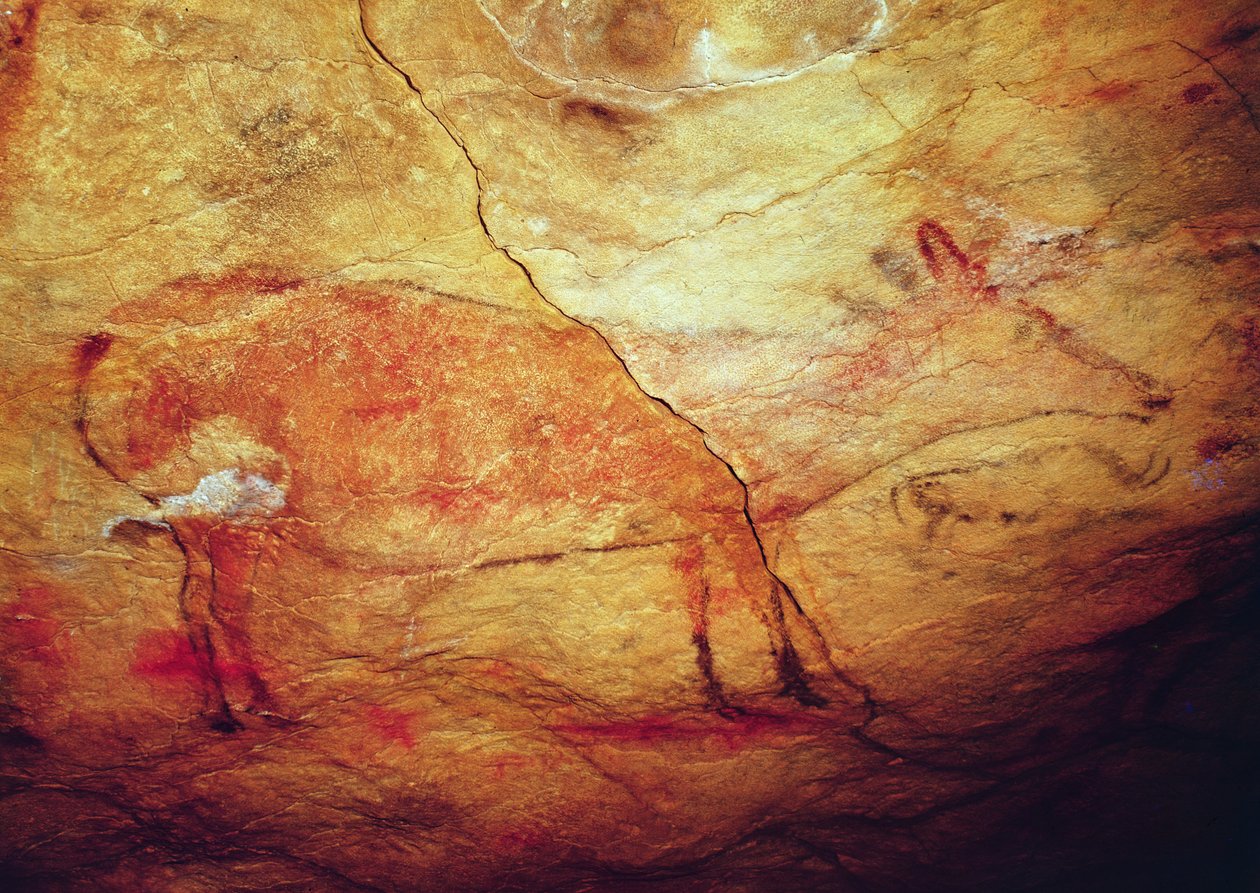 Cerf des grottes d