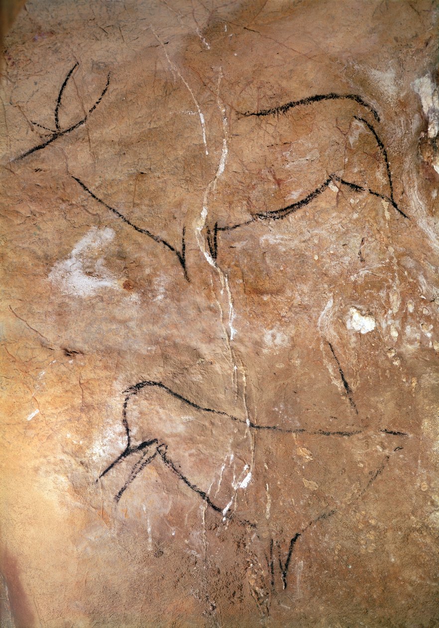 Deux cerfs, des grottes d