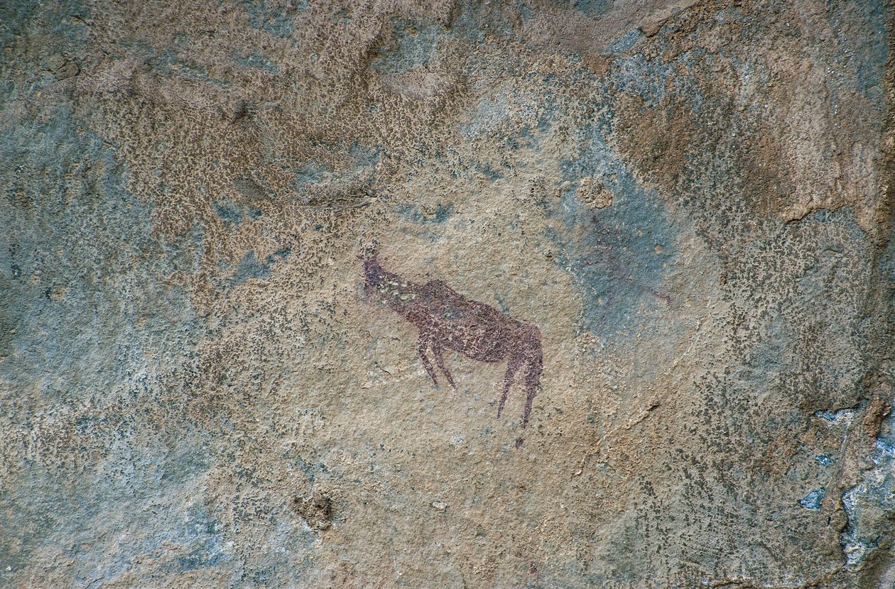 Figure animale (peinture rupestre) - Prehistoric Prehistoric