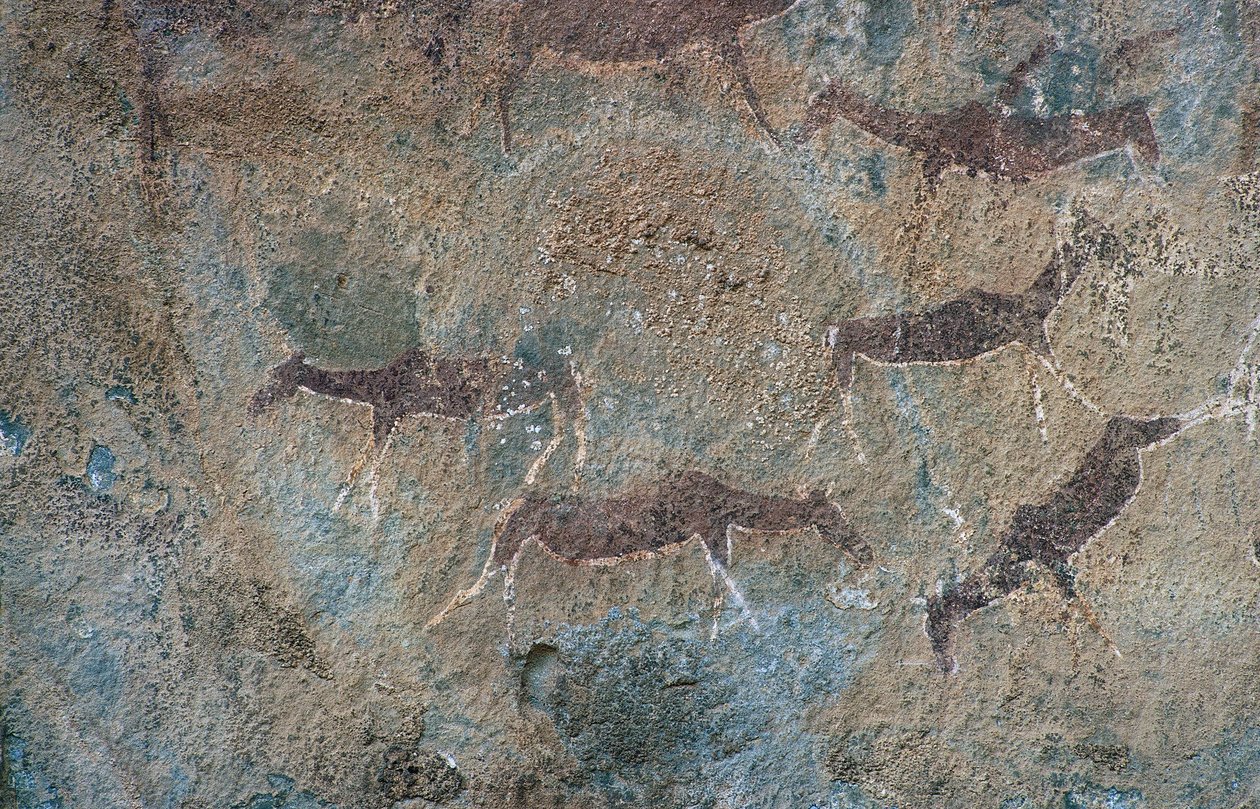 Figures animales (peinture rupestre) - Prehistoric Prehistoric